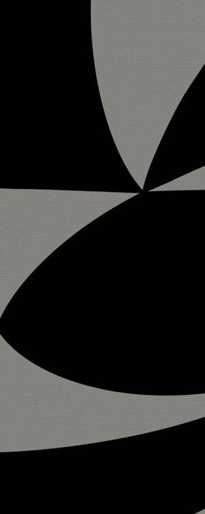 GEOMETRIC BICOLOR 2 V04