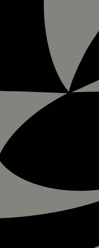 GEOMETRIC BICOLOR 2 V04