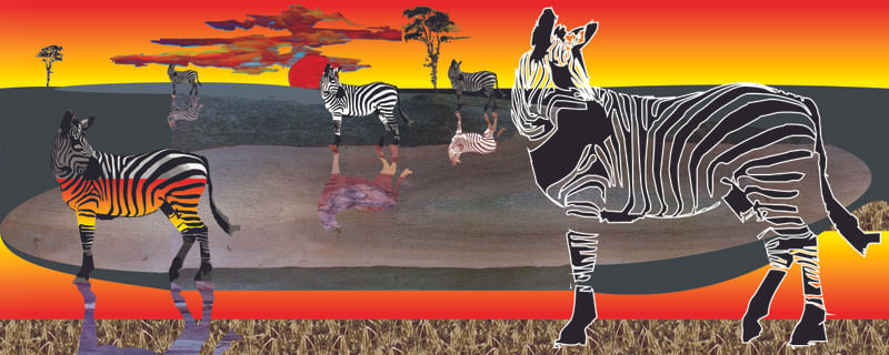 ZEBRA II