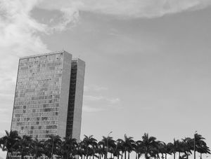 O CONGRESSO E AS PALMEIRAS