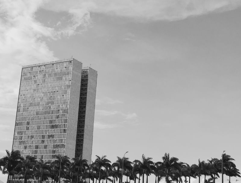 O CONGRESSO E AS PALMEIRAS