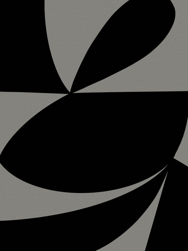 GEOMETRIC BICOLOR 2 V08