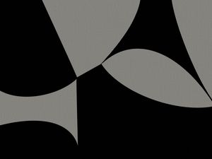GEOMETRIC BICOLOR 3 V01