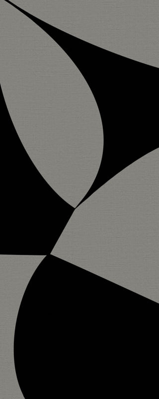 GEOMETRIC BICOLOR 3 V03