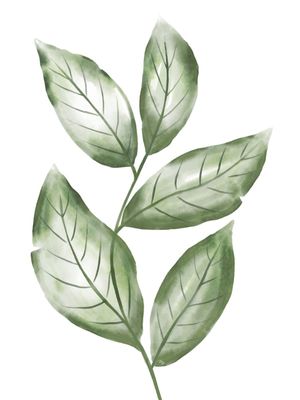 FOLHAS AQUARELA VERDE CONJUNTO - UM