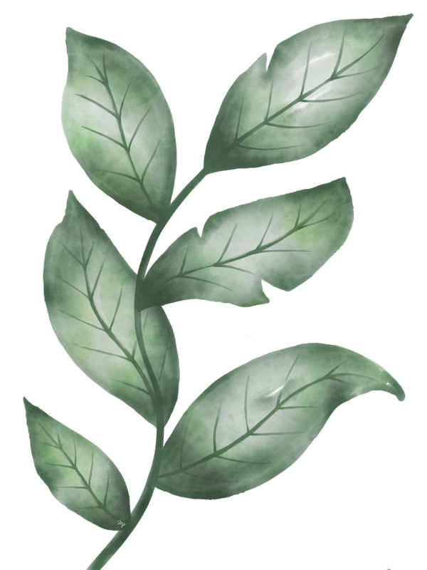 FOLHAS AQUARELA VERDE CONJUNTO - DOIS