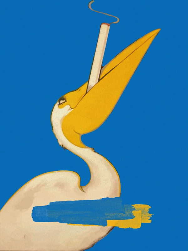 PELICANO AZUL