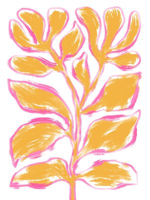 PLANTA LARANJA ABSTRATA