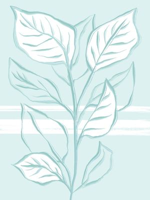 PLANTA MENTA