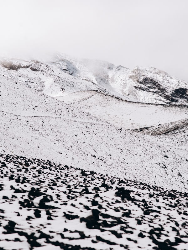 O ESSENCIAL DA NEVE ABSTRATO CHILE