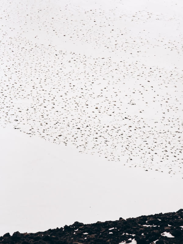 CHILE - LINHAS DA NEVE ABSTRATO E MINIMALISTA
