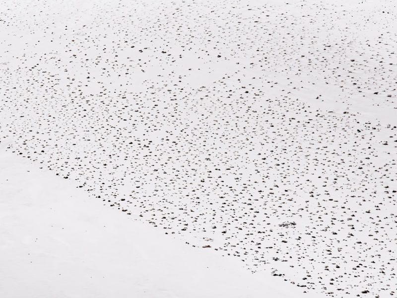 DELICADEZA DE INVERNO MINIMALISTA