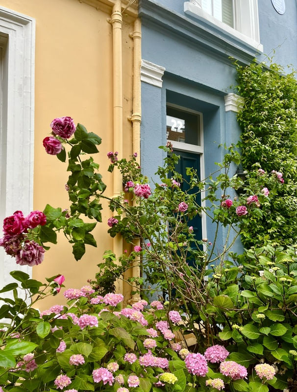 FLORES DE NOTTING HILL