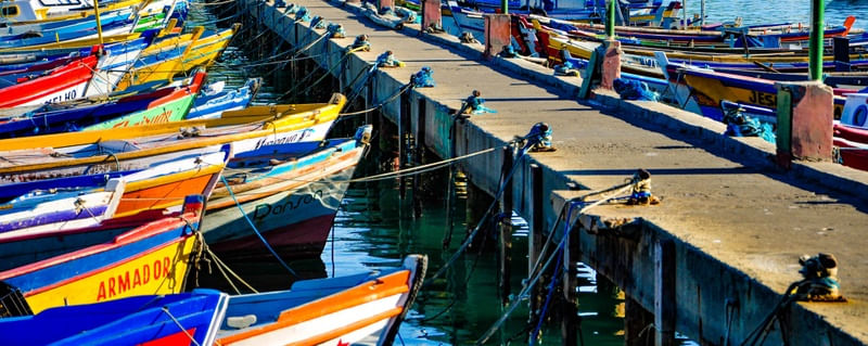 PESCADOR DE FOLGA II