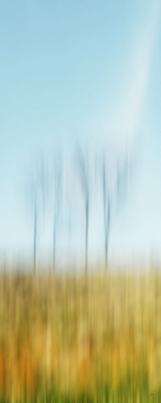 A NATUREZA SINGELA