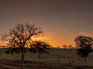 ENTARDECER NO CAMPO COM CÉU ALARANJADO