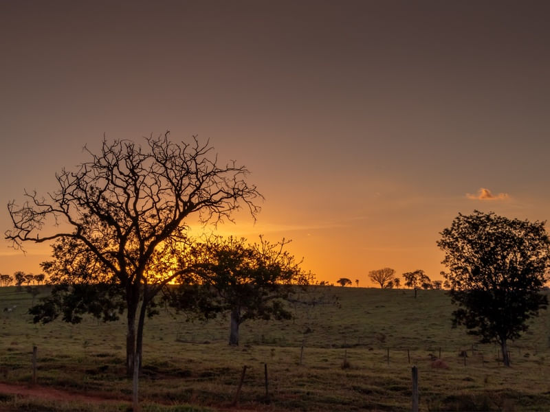ENTARDECER NO CAMPO COM CÉU ALARANJADO
