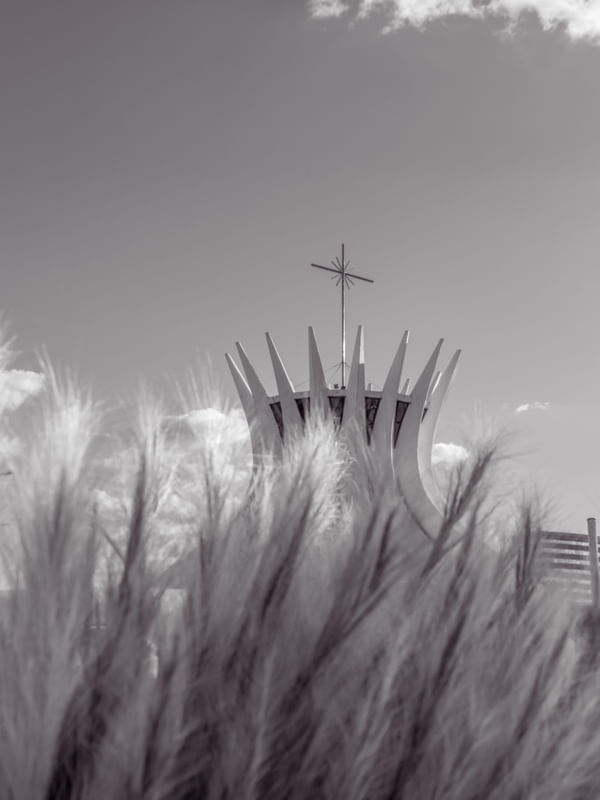 CATEDRAL DE BRASÍLIA COM RAMOS DO CERRADO