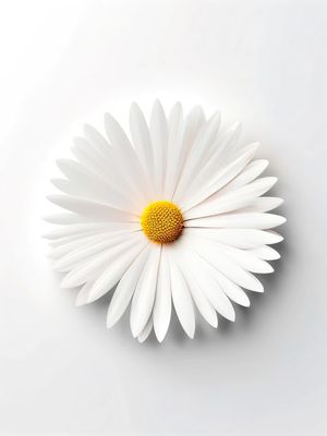 MODERNISMO FLORAL 13 BY AI