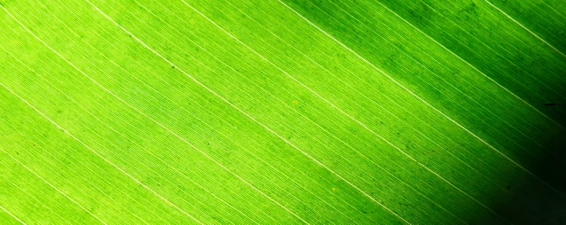 VERDE LUMINOSO TRÍPTICO 2