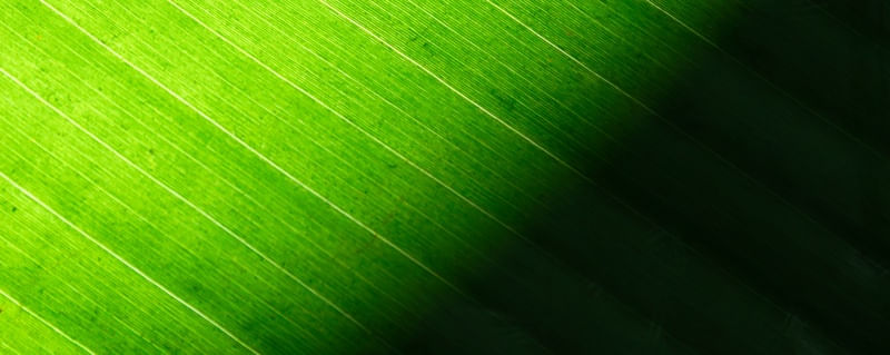 VERDE LUMINOSO TRÍPTICO 3