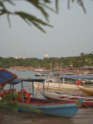 LUA ROSA NA AMAZÔNIA