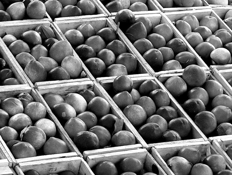 RETRATO EM PB DAS FRUTAS NO MERCADO PÚBLICO DE PORTO ALEGRE