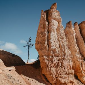 ÁRVORE SOLITÁRIA - BRYCE CANYON