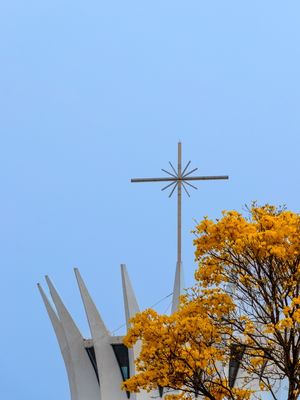 CATEDRAL DE BRASÍLIA E AS FLORES DO IPÊ-AMARELO
