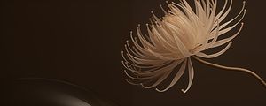 PINTURA L6019 - BY AI