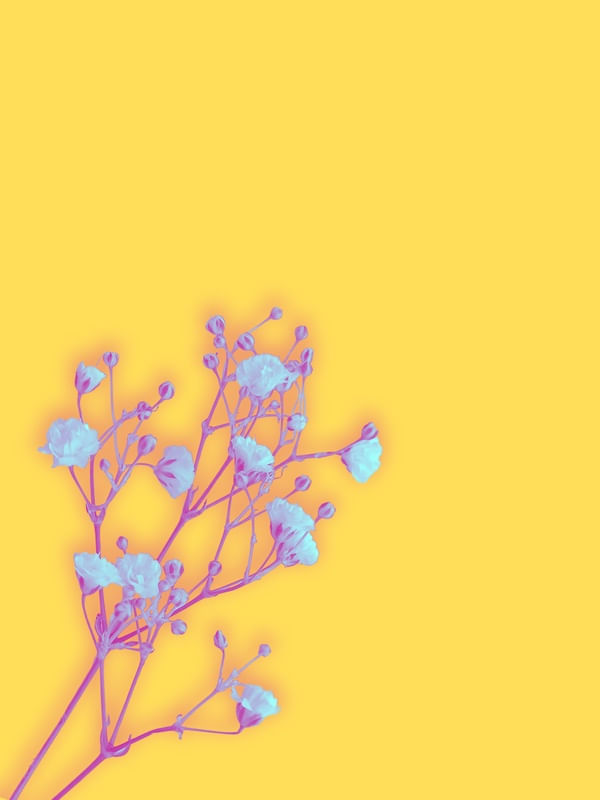 FLOR NO AMARELO POR PRICA GUIMARÃES