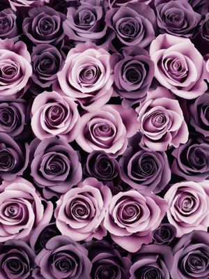 ROXO E LILÁS BY AI