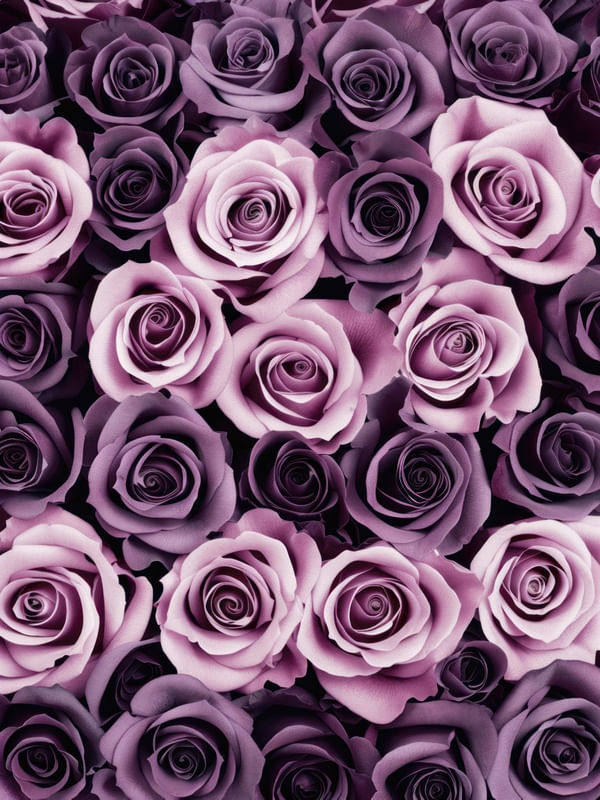 ROXO E LILÁS BY AI