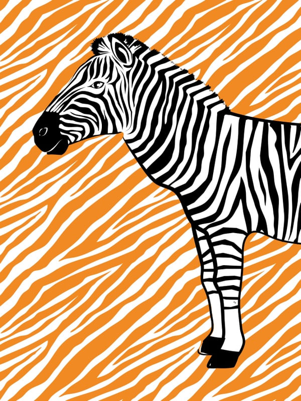 ZEBRA LARANJA FOFA