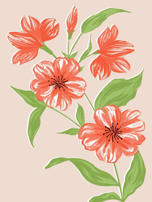 FLORES DE VERÃO