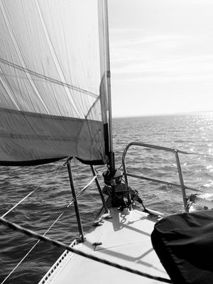 SEASCAPE 5