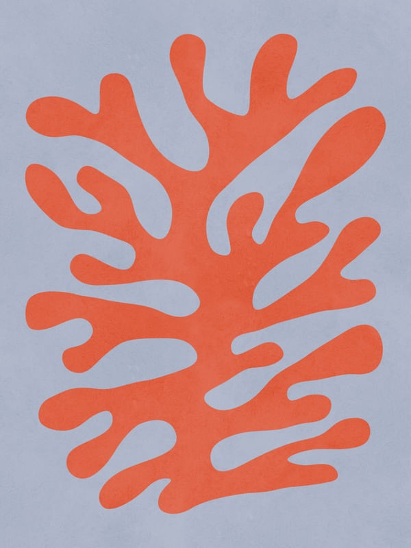 FLORAL ORGÂNICO 33