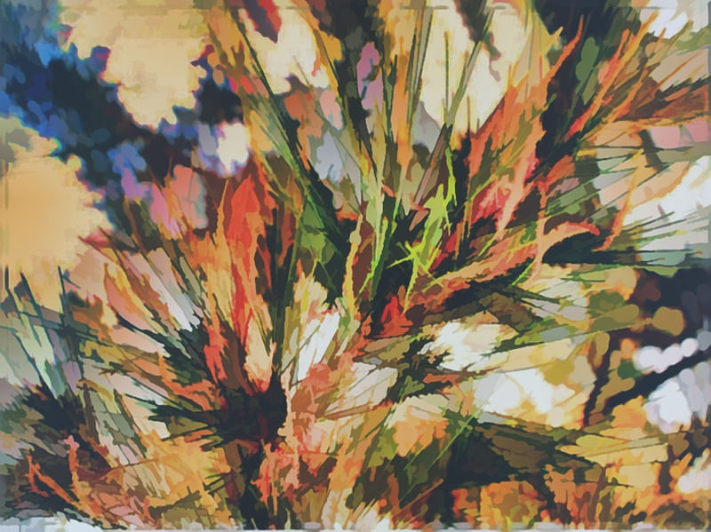 COMPOSIÇÃO ABSTRATA 245