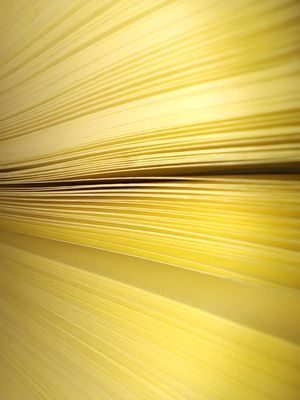 PÁGINAS DE LIVROS 1