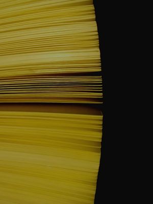 PÁGINAS DE LIVROS 2