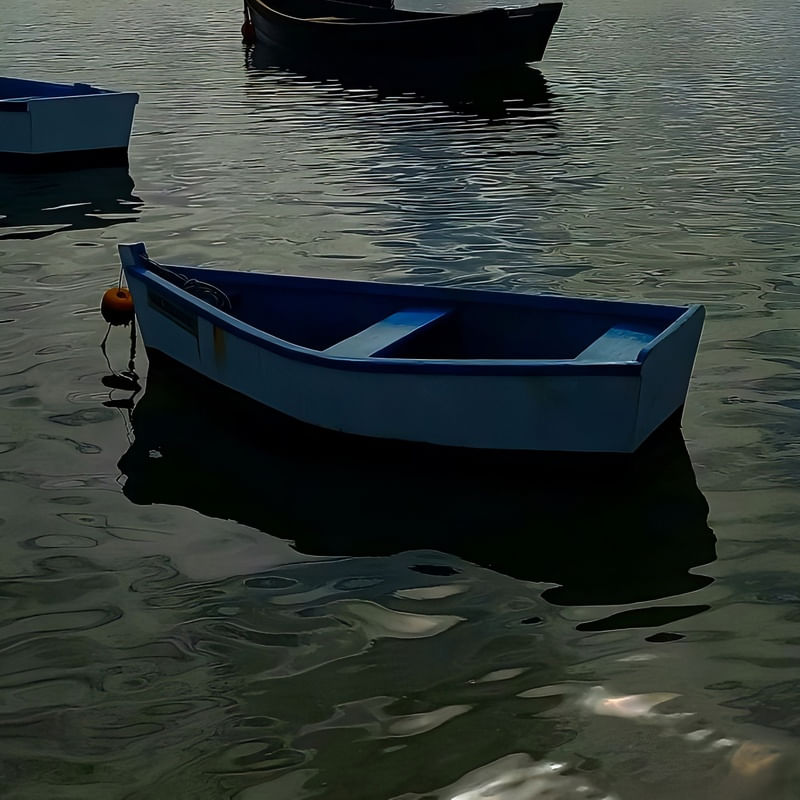 O BARQUINHO AZUL