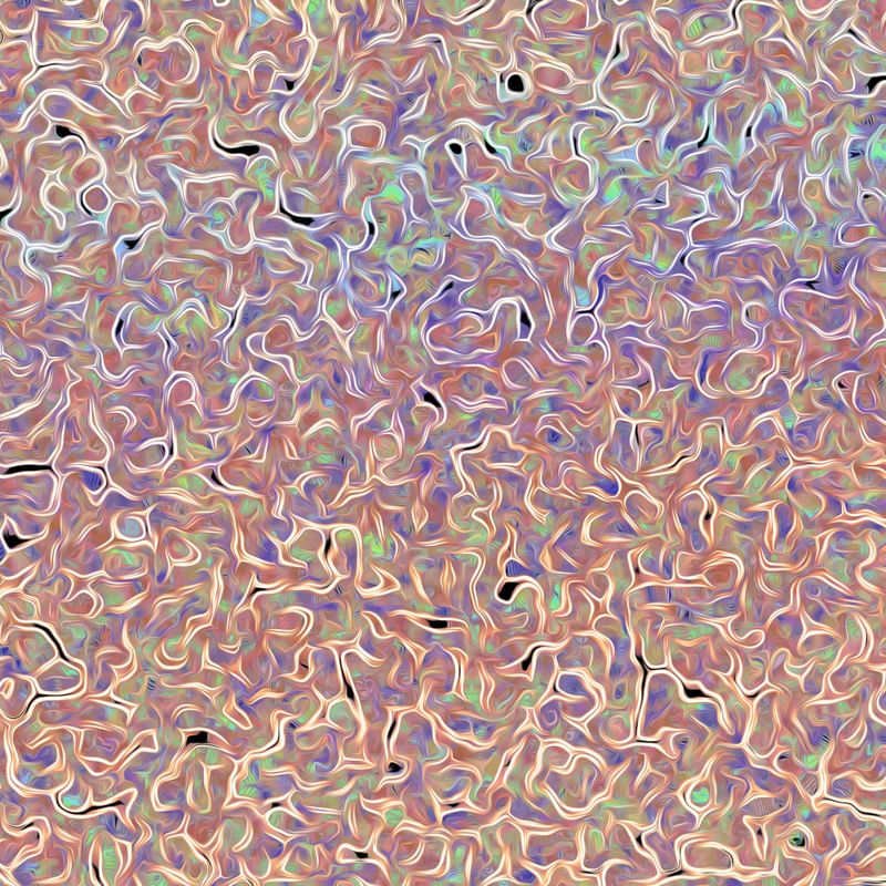 FURTA-COR ROSA DÍPTICO 1