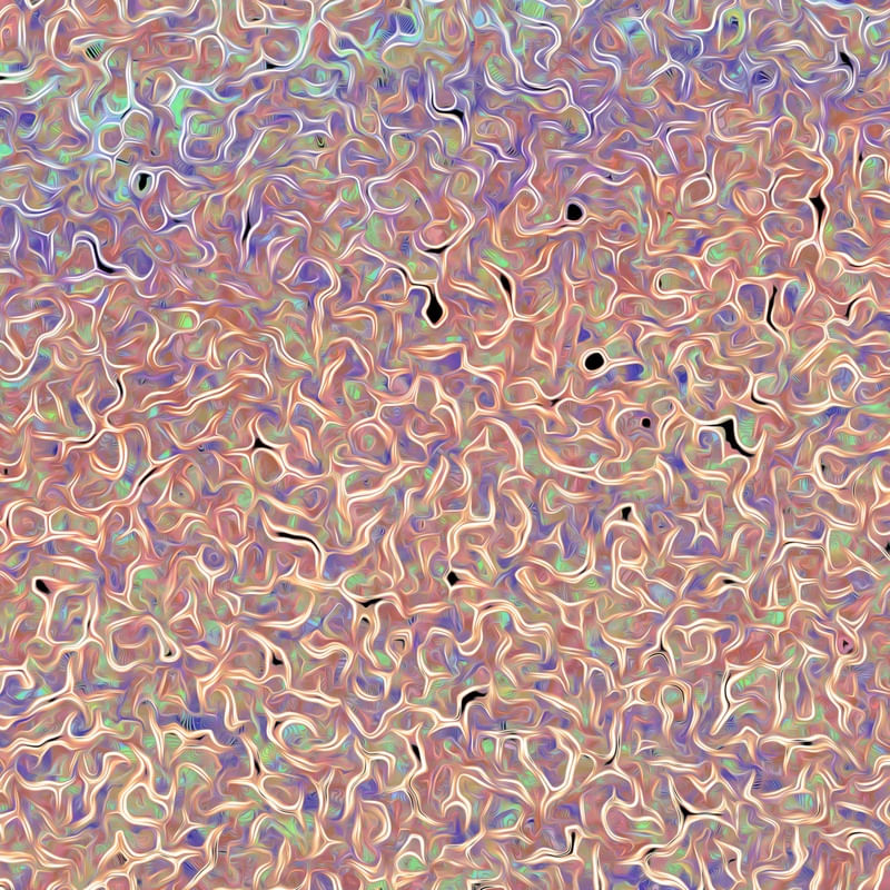FURTA-COR ROSA DÍPTICO 2