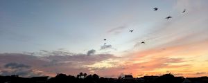 CANTO DAS AVES