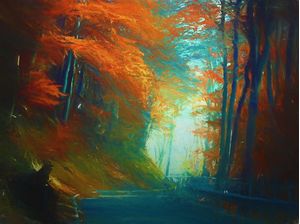 CAMINHO ENTRE O BOSQUE 2