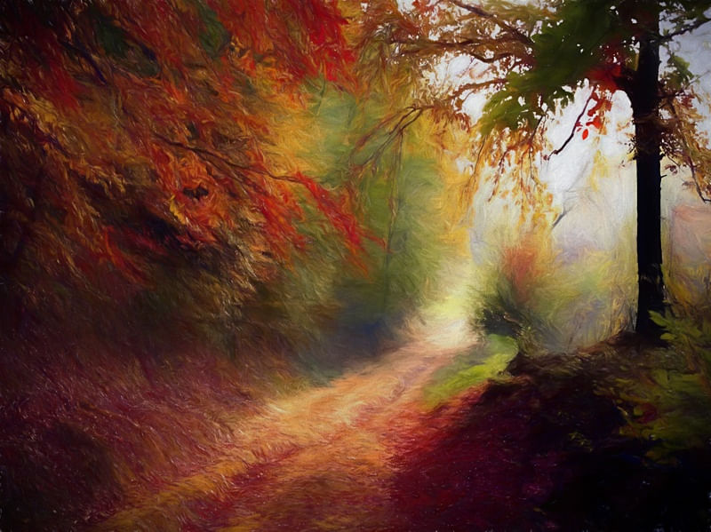 BOSQUE OUTONAL 2