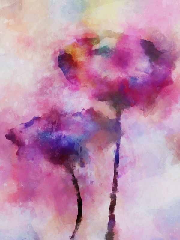 FLORES COLORIDAS 2