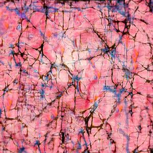 COMPOSIÇÃO ABSTRATA 59