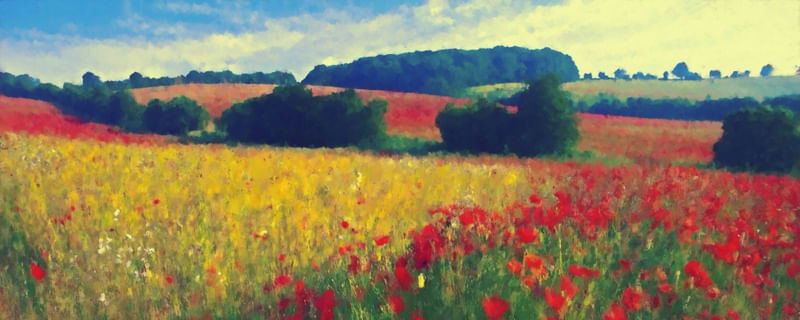 CAMPO FLORIDO 2