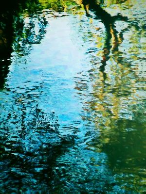 REFLEXOS DA NATUREZA